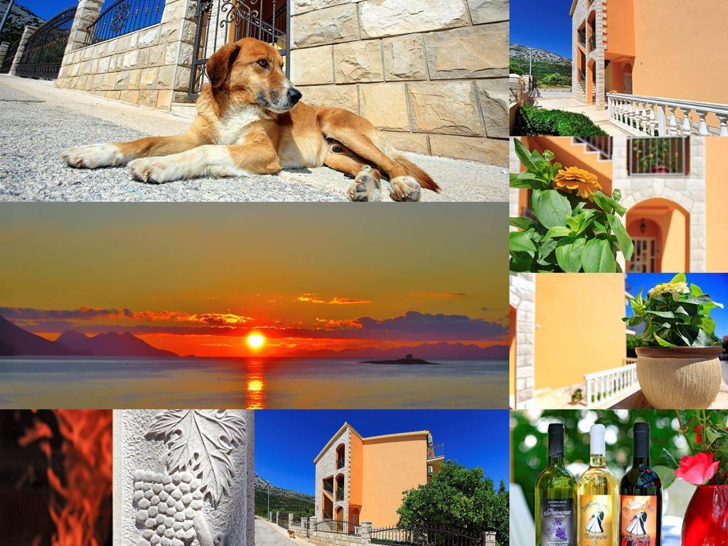 Holiday Home Mirela Orebić Zewnętrze zdjęcie